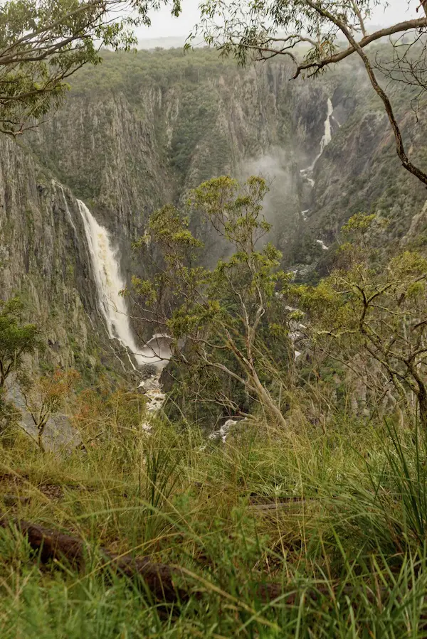 Wollomombi Falls (10)